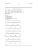 Single-Arm Monovalent Antibody Constructs and Uses Thereof diagram and image