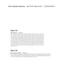 Single-Arm Monovalent Antibody Constructs and Uses Thereof diagram and image