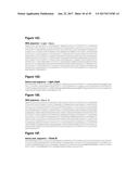 Single-Arm Monovalent Antibody Constructs and Uses Thereof diagram and image