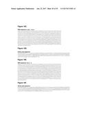 Single-Arm Monovalent Antibody Constructs and Uses Thereof diagram and image