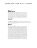 Single-Arm Monovalent Antibody Constructs and Uses Thereof diagram and image