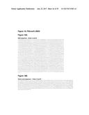 Single-Arm Monovalent Antibody Constructs and Uses Thereof diagram and image