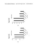 Single-Arm Monovalent Antibody Constructs and Uses Thereof diagram and image