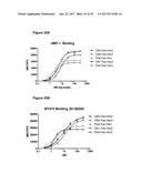 Single-Arm Monovalent Antibody Constructs and Uses Thereof diagram and image