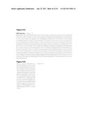 Single-Arm Monovalent Antibody Constructs and Uses Thereof diagram and image