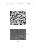 NANOSTRUCTURES FABRICATED BY METAL ASISTED CHEMICAL ETCHING FOR     ANTIBACTERIAL APPLICATIONS diagram and image