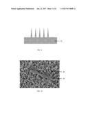 NANOSTRUCTURES FABRICATED BY METAL ASISTED CHEMICAL ETCHING FOR     ANTIBACTERIAL APPLICATIONS diagram and image