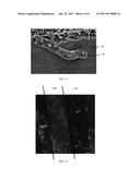 NANOSTRUCTURES FABRICATED BY METAL ASISTED CHEMICAL ETCHING FOR     ANTIBACTERIAL APPLICATIONS diagram and image