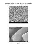Superhydrophobic and Oleophobic Ceramic Polymer Composite Coating diagram and image