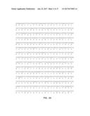 MUTANT RB69 DNA POLYMERASE diagram and image