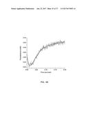 MUTANT RB69 DNA POLYMERASE diagram and image