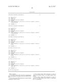 MUTANT RB69 DNA POLYMERASE diagram and image