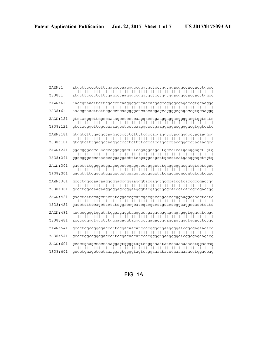 THERMUS BROCKIANUS NUCLEIC ACID POLYMERASES - diagram, schematic, and image 02