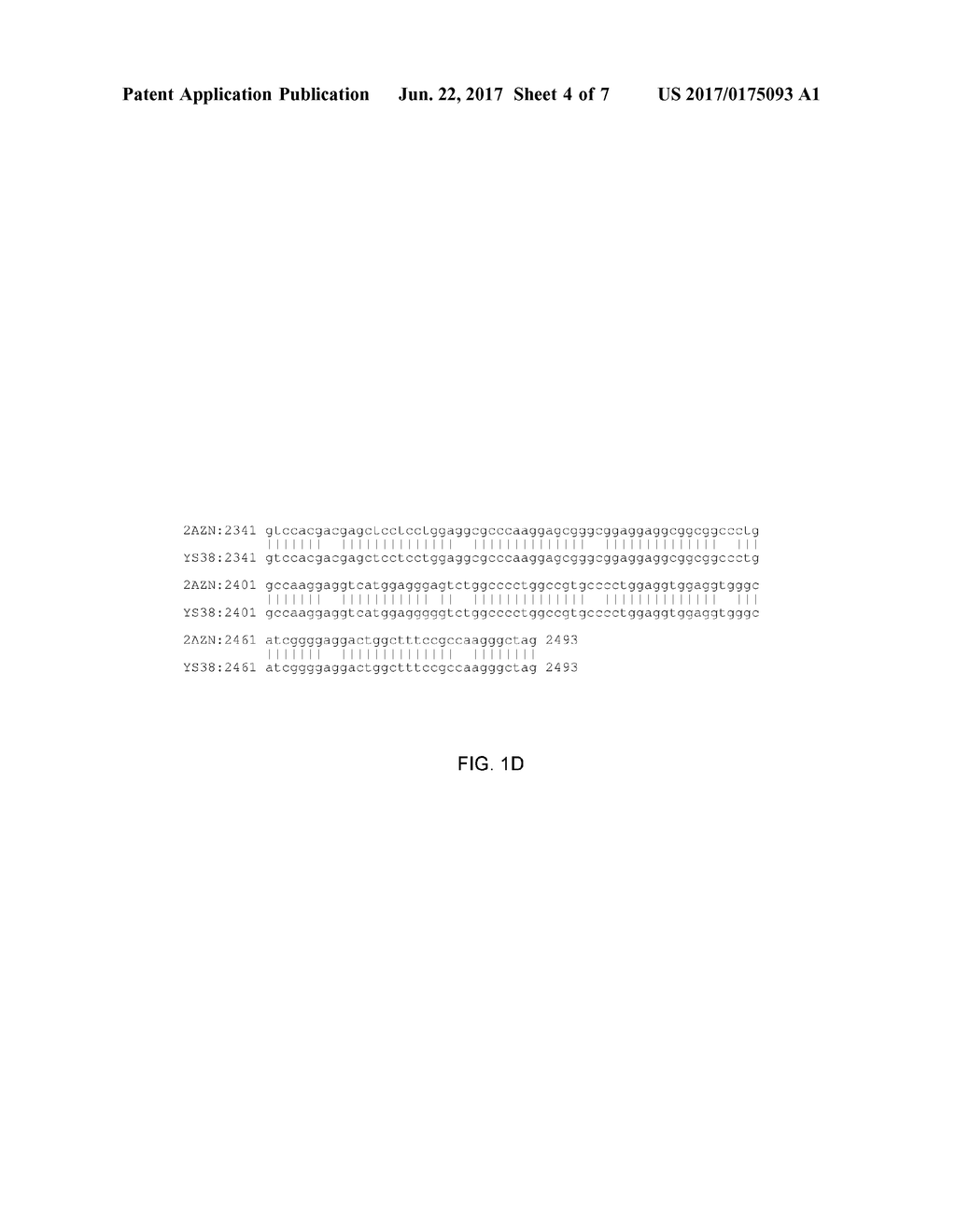 THERMUS BROCKIANUS NUCLEIC ACID POLYMERASES - diagram, schematic, and image 05