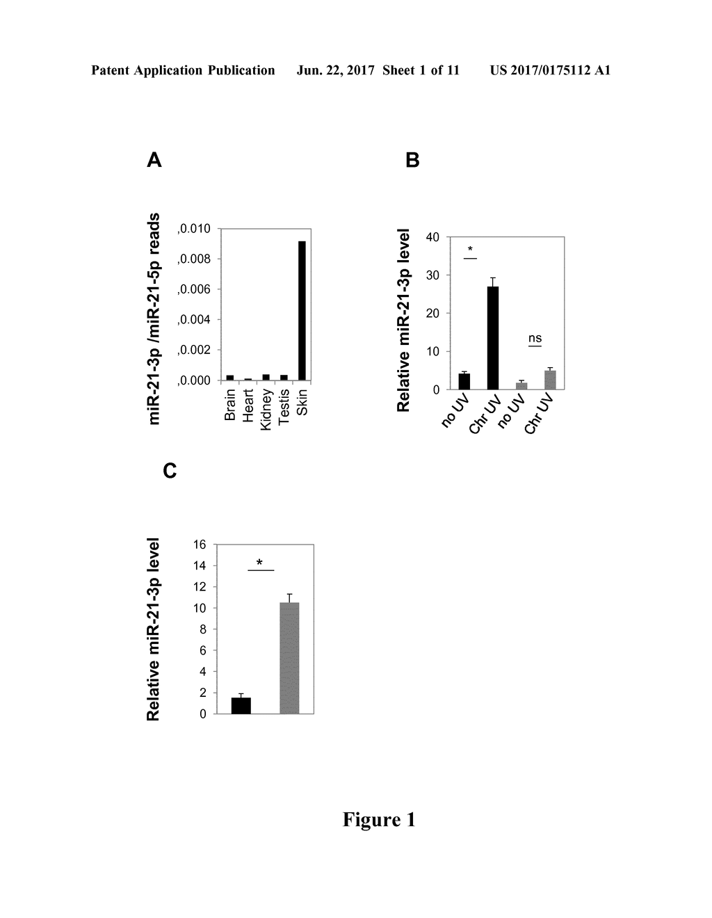 MIR-21-3P INHIBITORS IN SKIN DISORDERS - diagram, schematic, and image 02