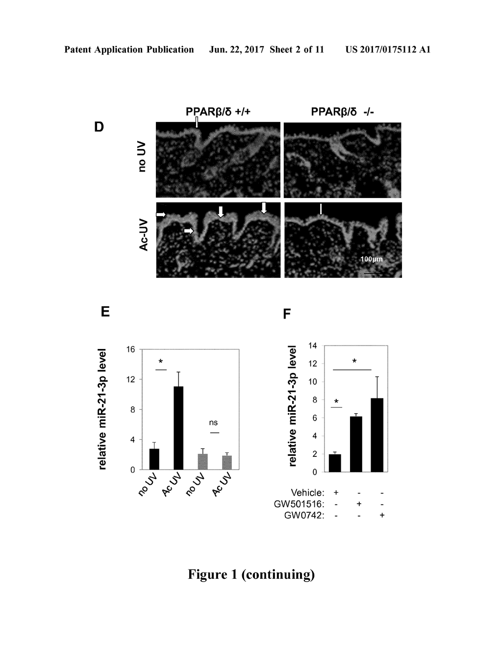 MIR-21-3P INHIBITORS IN SKIN DISORDERS - diagram, schematic, and image 03