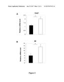 MIR-21-3P INHIBITORS IN SKIN DISORDERS diagram and image