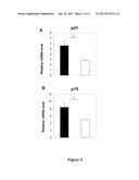 MIR-21-3P INHIBITORS IN SKIN DISORDERS diagram and image