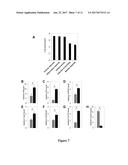 MIR-21-3P INHIBITORS IN SKIN DISORDERS diagram and image