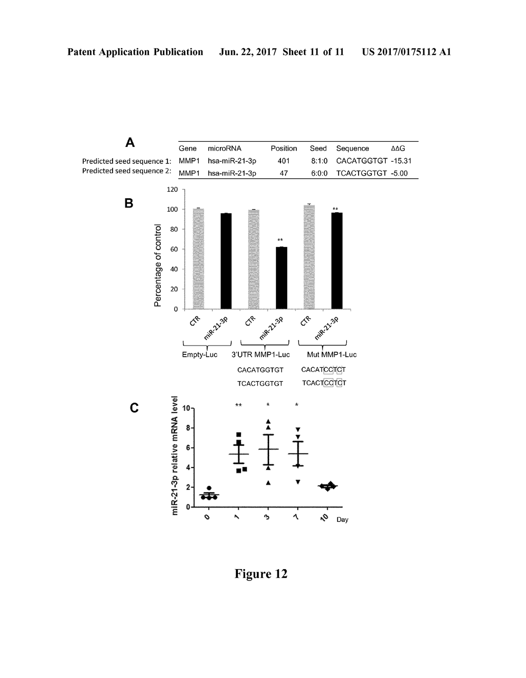 MIR-21-3P INHIBITORS IN SKIN DISORDERS - diagram, schematic, and image 12