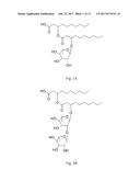 NOVEL MATERIALS DERIVED FROM FERMENTATION-PRODUCED RHAMNOLIPIDS AND     METHODS OF PRODUCTION diagram and image