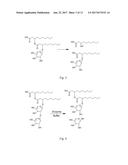 NOVEL MATERIALS DERIVED FROM FERMENTATION-PRODUCED RHAMNOLIPIDS AND     METHODS OF PRODUCTION diagram and image