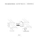 NOVEL MATERIALS DERIVED FROM FERMENTATION-PRODUCED RHAMNOLIPIDS AND     METHODS OF PRODUCTION diagram and image