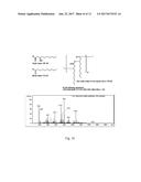 NOVEL MATERIALS DERIVED FROM FERMENTATION-PRODUCED RHAMNOLIPIDS AND     METHODS OF PRODUCTION diagram and image