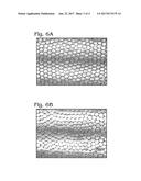 EMULSION CHEMISTRY FOR ENCAPSULATED DROPLETS diagram and image