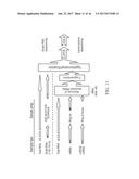 AMPLIFICATION AND DETECTION OF RIBONUCLEIC ACIDS diagram and image