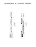 AMPLIFICATION AND DETECTION OF RIBONUCLEIC ACIDS diagram and image