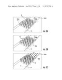 NANOFLUIDIC DEVICES FOR THE RAPID MAPPING OF WHOLE GENOMES AND RELATED     SYSTEMS AND METHODS OF ANALYSIS diagram and image