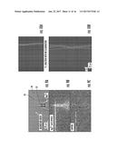 NANOFLUIDIC DEVICES FOR THE RAPID MAPPING OF WHOLE GENOMES AND RELATED     SYSTEMS AND METHODS OF ANALYSIS diagram and image