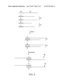 TRANSPOSASE-MEDIATED BARCODING OF FRAGMENTED DNA diagram and image