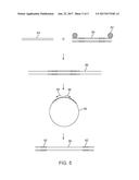 TRANSPOSASE-MEDIATED BARCODING OF FRAGMENTED DNA diagram and image