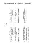 DISTINGUISHING METHYLATION LEVELS IN COMPLEX BIOLOGICAL SAMPLES diagram and image