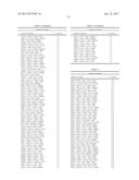 METHODS FOR PREDICTING THE OUTCOME OF A CANCER IN A PATIENT BY ANALYSING     GENE EXPRESSION diagram and image