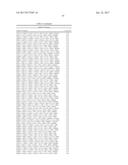 METHODS FOR PREDICTING THE OUTCOME OF A CANCER IN A PATIENT BY ANALYSING     GENE EXPRESSION diagram and image