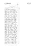 METHODS FOR PREDICTING THE OUTCOME OF A CANCER IN A PATIENT BY ANALYSING     GENE EXPRESSION diagram and image