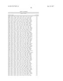 METHODS FOR PREDICTING THE OUTCOME OF A CANCER IN A PATIENT BY ANALYSING     GENE EXPRESSION diagram and image