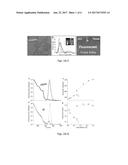 PATTERNS OF FLUORESCENT SEEDED NANORODS diagram and image