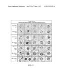 Spectral Differentiation of Histological Stains diagram and image