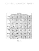 Spectral Differentiation of Histological Stains diagram and image