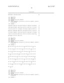 ANTIBODIES TO QUETIAPINE AND USE THEREOF diagram and image