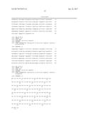 ANTIBODIES TO QUETIAPINE AND USE THEREOF diagram and image