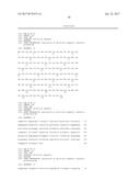 ANTIBODIES TO QUETIAPINE AND USE THEREOF diagram and image