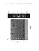 ELECTROCHROMIC DEVICES diagram and image