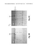 ELECTROCHROMIC DEVICES diagram and image