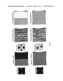 APPARATUS AND METHOD FOR IMPARTING DIRECTION-SELECTIVE LIGHT ATTENUATION diagram and image