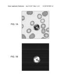 Methods and Systems for Assessing Cell Morphology diagram and image